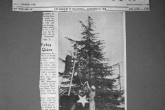 1956 - Los Feliz Christmas Tree