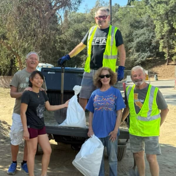 LFIA sandbags
